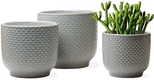 4 + 5 + 6 Inch Ceramic Pots for Indoor Plants, Succulents Plant Pots, Orchid Flower Pot with Drainage Hole, Modern Clay Stoneware Planters, Set of 3 (Reactive Glaze Grey Blue, 4 + 5 + 6 Inch） by Homephyte