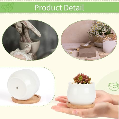 SHECIPIN Succulent Pots, White Mini 2.5 inch Ceramic Flower Planter Pot with Bamboo Tray, Pack of 12 - Plants Not Included - Image 5