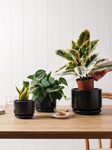 LE TAUCI Ceramic Pots for Plants, 6.8 Inch Plant Pots with Drainage Hole & Saucer, Modern Planter for Indoor Plants, Stable & Durable, Perfect for Living Room or Office Decor, Black - Image 5