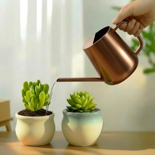 Watering Can for Indoor & Outdoor Plants, 35 oz/1000ml Watering Can with Metal Handle, Stainless Steel Garden Long Spout Watering Pot for Indoor House Plants Bonsai Flower Decorative - Image 6