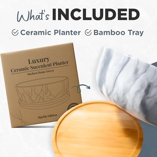 Pastel Marble Inspired 8 Inch Ceramic Succulent Planter with Drainage Hole & Bamboo Tray – Large Wide Round Pot Decorative for Indoor Plants, & Cactus - Image 3
