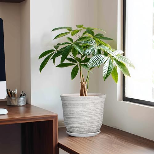 Ceramic Plant Pots - 8 Inch Plant Pot with Drainage Hole and Saucer, Round Flower Pots for Indoor Outdoor, Modern Planter, Decorative Planters, Home Apartment Decor, Gardening Gifts, Grey - Image 3