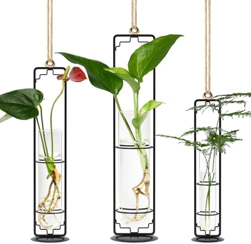 MIPON Metal Hanging Plant Propagation Station,3 Size Glass Test Tube Hydroponic Planter,Boho Wall Hanging Plant Cuttings Holder,Indoor Water Plant Terrarium Tubes for Home Office Window Decor-Black by MIPON
