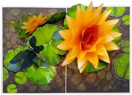 3D Pop-Up Lotus & Dragonfly Greeting Card – Handmade Floral Nature Card for Birthday, Mother’s Day, Thank You & Special Occasions F57