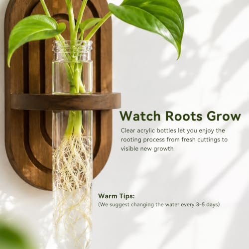 Artilady Plant Propagation Station Wall Hanging, Thick Wood Terrarium Tube - Image 2