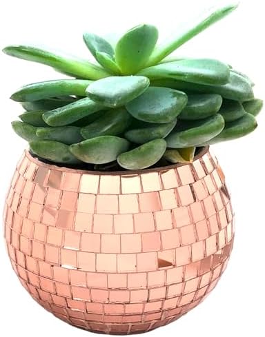 Mini Disco Ball Planter (Rose Gold Color) Mini Vase Indoor Planter for Eucalyptus Plant for Shower Housewarming Gift Ideas Cute Desk Accessories Aesthetic Decor Rose Gold by BusyPet