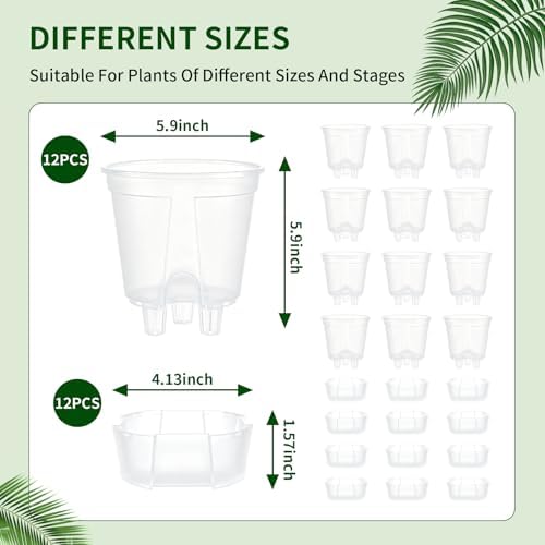 Cdd's Path 6 Inch Clear Self Watering Pots Set, 12 Pack Naked Root Planter with Deep Water Tank, Large Drainage Holes, Reservoir & Air Pipes for Indoor Outdoor Plants, Flowers, Seedlings - Image 3
