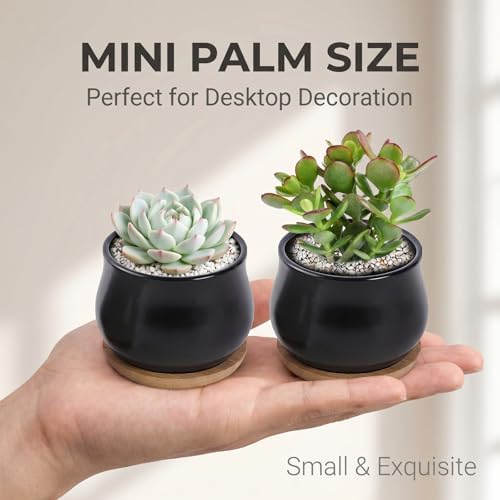 SHECIPIN 8 Pack Succulent Plant Pot, Matte Black Mini 2.6 inch Ceramic Flower Planter Pot with Bamboo Tray, Small Pots for Plants, Plants Not Included - Image 3