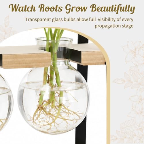 3-Bulb Plant Propagation Station, Glass Vase Terrarium, Retro White - Image 6