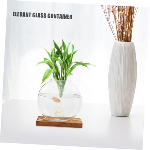 Glass Plant Propagation Station Round Vase with Wooden Base, 2pcs - Image 3