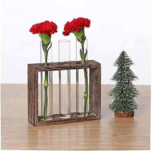 Tube Shape Glass Vase with 3 or 5 Holes Wood Stand Decoration Flower Vontainer for Hydroponics Plant Transparent Flower Arrangement Vase-3 Tube - Image 6