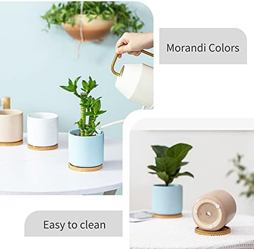 4 Inch Planters with Drainage Hole and Saucer, Small Ceramic Cylinder Plant Pot with Trays for Succulent, Aloe, Cactus & Herbs, Morandi Colors, Set of 4 - Image 4