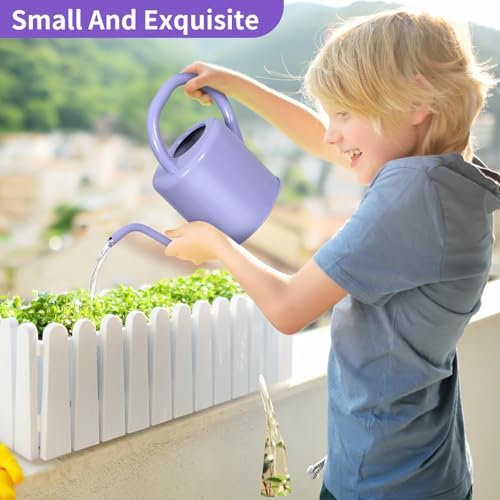 Watering Can, Stainless Steel Watering Can for Indoor & Outdoor Plants, 1L/35oz Long Spout Water Can with Handle, Rust-Proof Plant Watering Pot for House Plants, Garden Flowers - Image 2