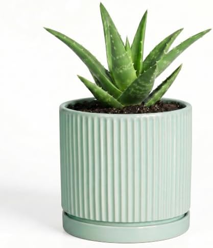 Ceramic Plant Pots, 4 Inch Pots for Plants with Tray, Mint Green by Unknown