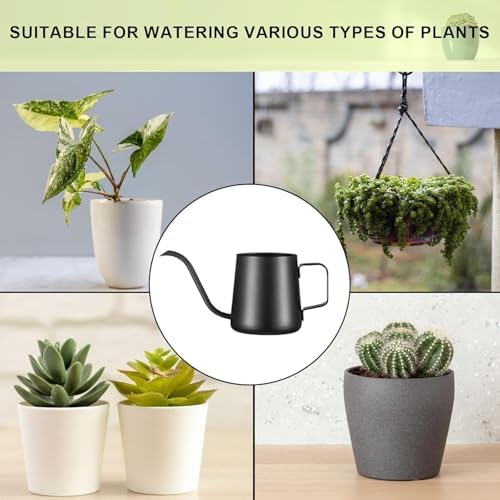 Watering Can Indoor Plants, Small Plant Watering Can, 12 oz, Black - Image 3
