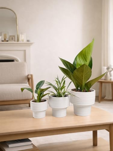 INGOFIN Ceramic Planter Pot Set of 3, 4/5/6 Inch Indoor Plant Decorative Cachepot for Pothos & Succulents, No Drainage Hole, Modern Tabletop Desk Display Pot for Home Decor, Pockmarks White - Image 5