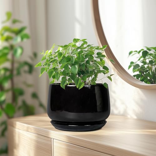 G EPGardening Ceramic Planter 7 Inch, Ceramic Pot for Plants, Black - Image 6