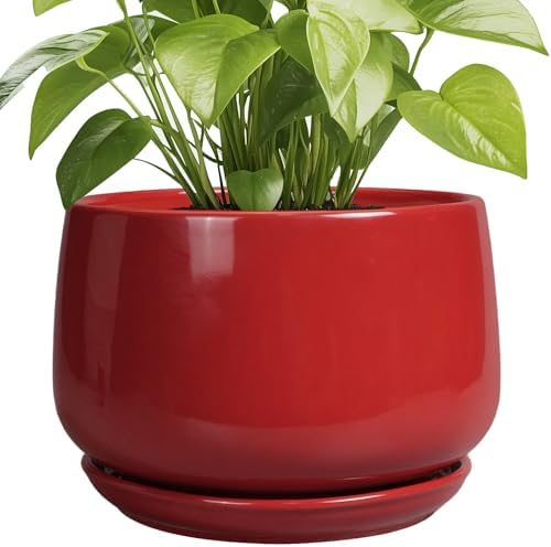 G EPGardening Ceramic Plant Pots - 9 Inch Flower pots for Indoor Outdoor Plant, Round Planter with Drainage and Saucer, Modern Home Decor, Gift for Women Men, Red by GEPGardening