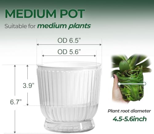 T4U Self Watering Pots for Indoor Plants 6 Inch 4 Pack Planter Clear - Image 2
