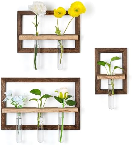 Wall Propagation Station Set with Glass Tubes by Walasis