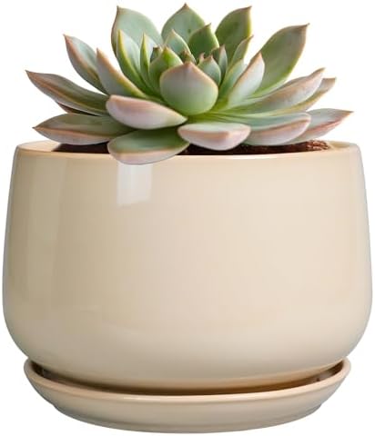 G EPGardening Ceramic Pot for Plants, 6 Inch Planter with Drainage, Beige by GEPGardening