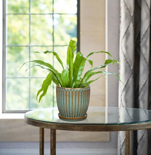 Oairse Ceramic Pots for Indoor Plants, 4.9 + 5.7 Inch Set of 2 Bluish Grey With Drainage Holes and Saucers, Texture Planters for Succulent, Indoor Outdoor Flower - Image 5