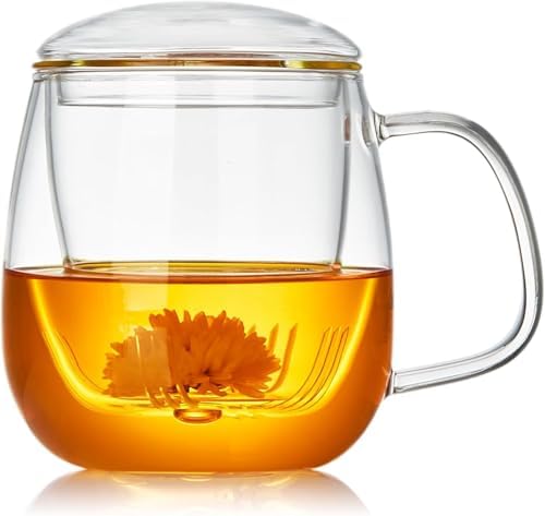 DOPUDO Large Glass Tea Cup, 34 oz Borosilicate Glass Tea Mug with Infuser and Lid, 1000ML Clear Tea Cups for Brewing Scented Tea and Tea Bag. by DOPUDO