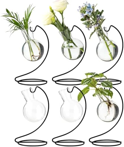 Desktop Glass Plant Propagation Station with Metal Stand,Tabletop Plant Terrarium,Hydroponics Vase for Propagating Hydroponic Office Garden Home Decor, for Weddings, Centerpieces (6) by JGKYLDZ