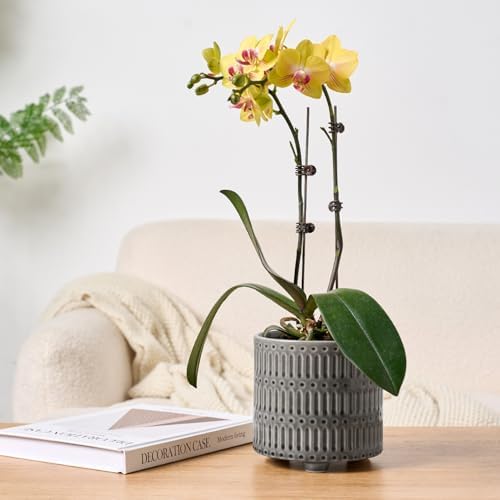 STHIE 5 Inch Ceramic Planters for Indoor Plants, Gray Snake Plant Pots - Image 5