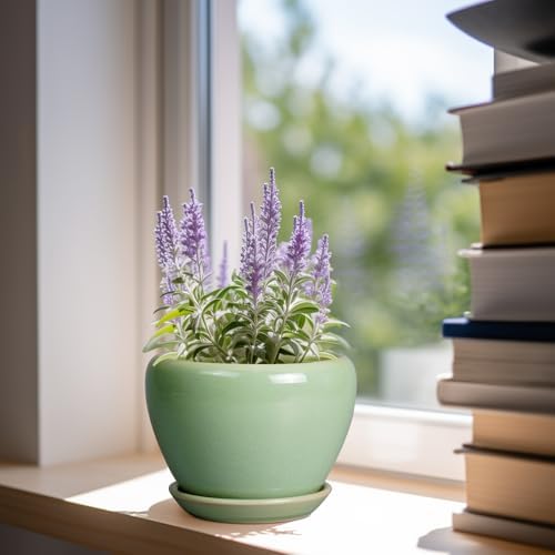 Ceramicfor 6 Inch Plant Pot - Ceramic Planter for Indoor Plants Round Planter Outdoor Plant Pot with Drainage Hole and Saucer Modern Flower Pot for Succulent Garden Green - Image 2