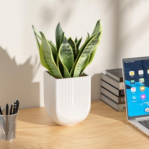Ceramic Planter, 6 Inch Plant Pot with Drainage, Matte White - Image 2
