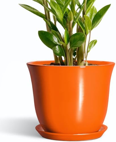 10 Inch Plant Pot - Ceramic Pots for Plants with Drainage Hole and Saucer, Round Planters for Indoor Outdoor Plants, Modern Decorative Planters, Room Home Decor, Gardening Gifts, Orange by SUNPOTFOR