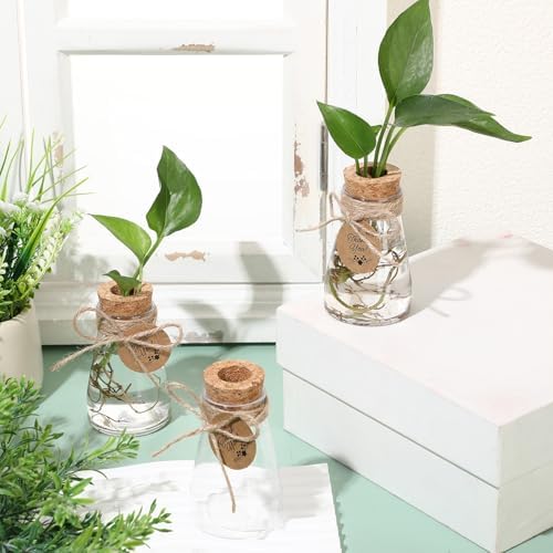 Baderke 48 Pack 3.35'' Plastic Plant Propagation Stations with Hole Lid Planter Vase Clear Propagation Jars with Thank You Tags for Plant Lover Gifts for Women Office Home Garden - Image 3