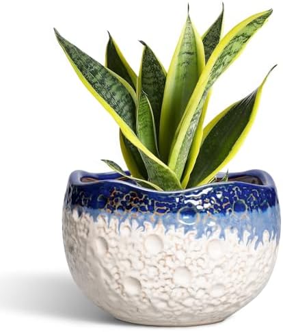 Ceramic Planter 8 Inch, Ceramic Plant Pots Indoor, Beige-Blue by Thirtypot