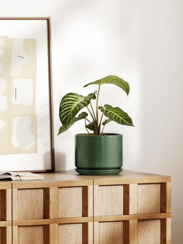 LE TAUCI Ceramic Pots for Plants, 8 Inch Plant Pot with Drainage Hole & Saucer, Modern Planters for Indoor Plants, Round Flower Pot for Snake Plant, Monstera, Perfect for Home Decor, Forest Green - Image 2