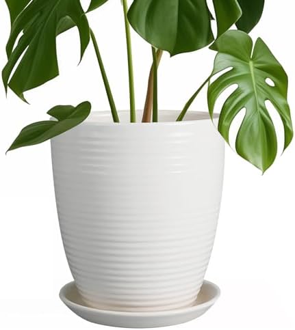 8 Inch Ceramic Planter Pot Round Plant Pot with Drainage Hole and Saucer Modern Flower Pot for Indoor Outdoor Plants White by EPFamily