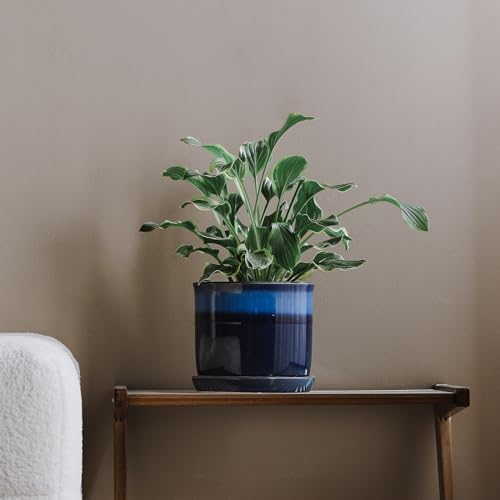 8 Inch Plant Pot: Ceramic Planter with Drainage Hole & Saucer for Indoor Outdoor Plants - Flowerpot with Bonded Tray for Home Office - Blue Reactive Glaze - Image 7