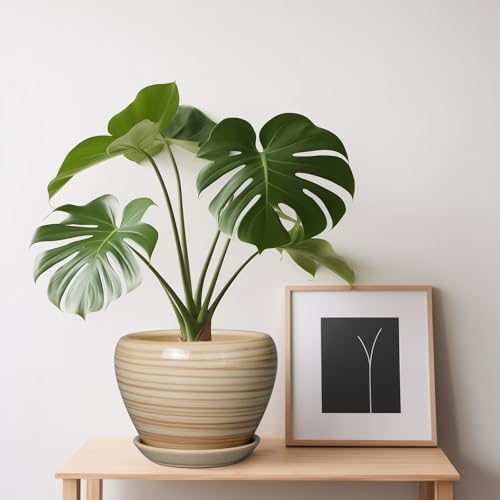 Ceramicfor 6 Inch Plant Pot Ceramic - Decorative Planter for Indoor Plants Succulent Pot with Drainage Hole and Saucer Round Planter Outdoor Flower Pot for House Patio Yellow - Image 7