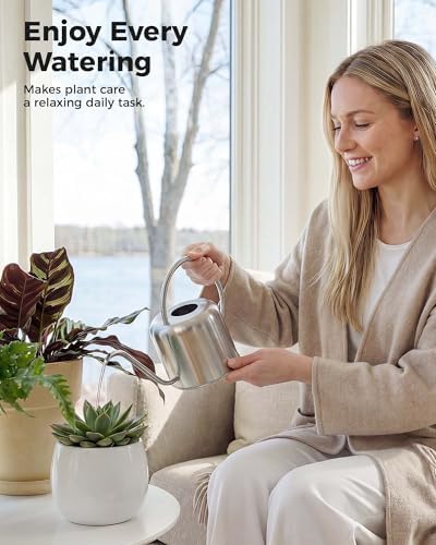 Bamworld Metal Watering Can for Indoor Outdoor Plant 1L/35oz Silver - Image 2