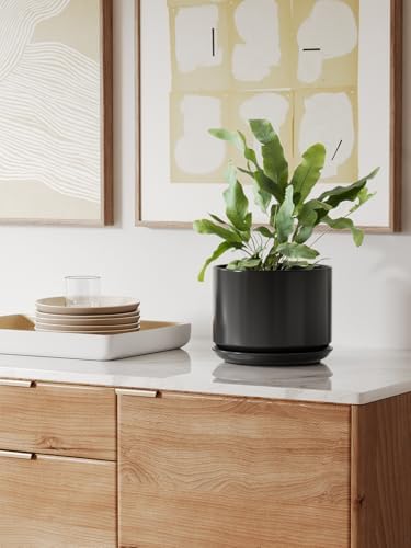 LE TAUCI Ceramic Pots for Plants, 8 Inch Plant Pot with Drainage Hole & Saucer, Modern Minimalist Planters for Indoor Plants, Round Flower Pot for Snake Plant, Monstera, Perfect for Home Decor, Black - Image 5