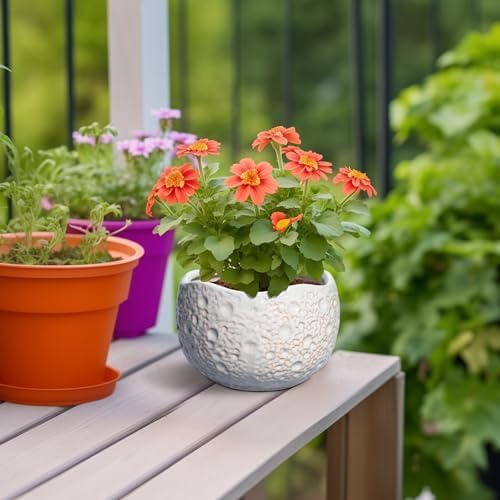 Ceramic Plant Pots 6 Inch, Ceramic Orchid Pot with Drainage, Grey - Image 4