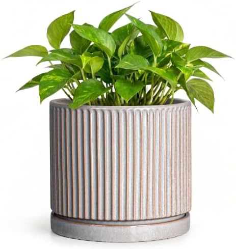 Ceramic Pots for Plants, 6 Inch Plant Pots with Saucer, Grey by Unknown