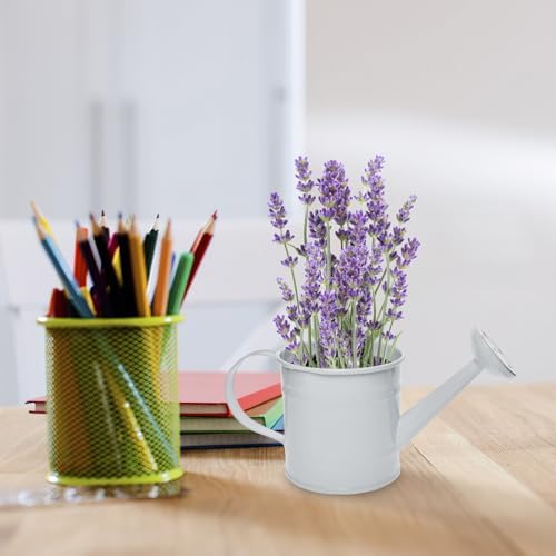 Decorative Mini Tin Watering Can - 0.05Gal Cute Metal Jug for Hand Crafts,Garden-Theme Parties,Plant Pots, Home Decor,Housewarmings, Fun Birthday Gift for Girls and Boys (P/W, S) - Image 6