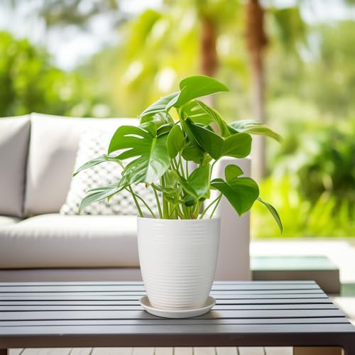 8 Inch Ceramic Planter Pot Round Plant Pot with Drainage Hole and Saucer Modern Flower Pot for Indoor Outdoor Plants White - Image 6