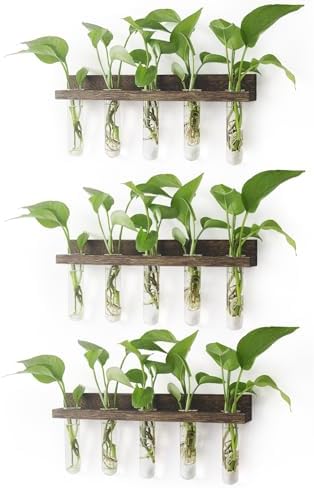 Renmxj Wall Hanging Plant Propagation Station 15 Glass Test Tubes - Brown by Renmxj