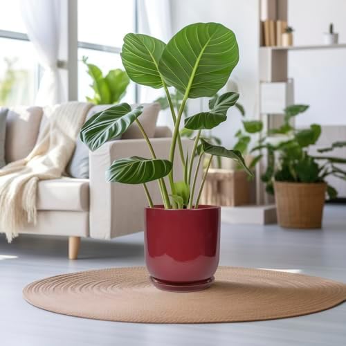 Ceramic Pots for Plants - 12 Inch Plant Pot Indoor with Drainage Hole and Saucer Large Planter Outdoor Flower Pot for Home Patio Office Decor Red - Image 2