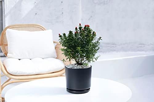 Ekirlin 7 inch Plant Pots,Ceramic Flower Planters Indoor,Modern Succulents Containers with Drain Hole Saucer,Decorate Home,Office & Outdoor (Black) - Image 6