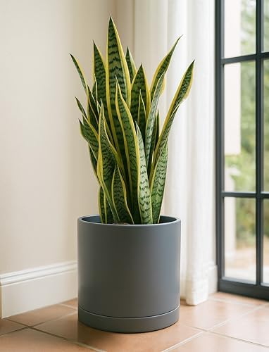D'vine Dev 12 Inch Ceramic Planter Pot, Grey, 94-O-F-3 - Image 6