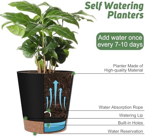 YNNICO Indoor Self Watering Planters with Drainage Holes and Saucers, 8, 7, 6.5, 6, 5.5, 5 Inches, Black, 6 Pots (Pack of 2) - Image 5