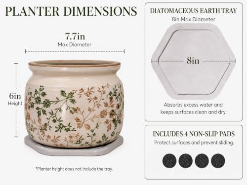 Country Cottage Ceramic Plant Pots with Decorative Tray, Plant Lover Gifts - Image 3